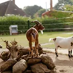 Lejlighed Achter De Hoef Whg 2 Staberdorf
