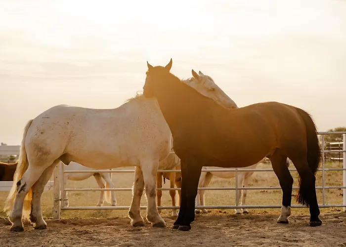 Achter De Hoef Whg 2 *