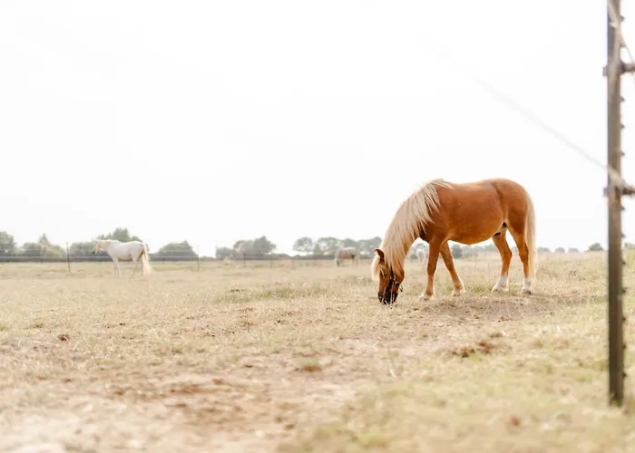 Achter De Hoef Whg 2 Staberdorf