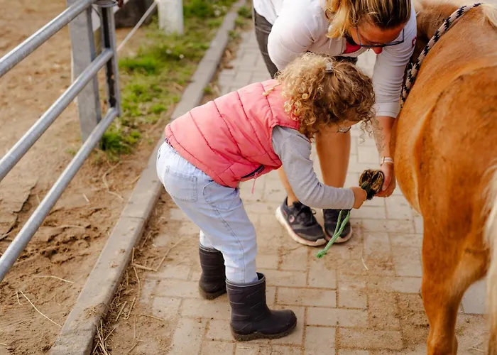 Achter De Hoef Whg 2