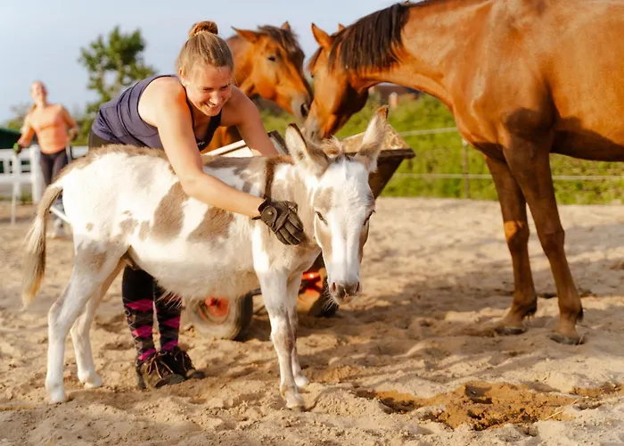 Achter De Hoef Whg 2 * Staberdorf