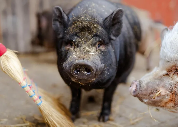 Achter De Hoef Whg 2