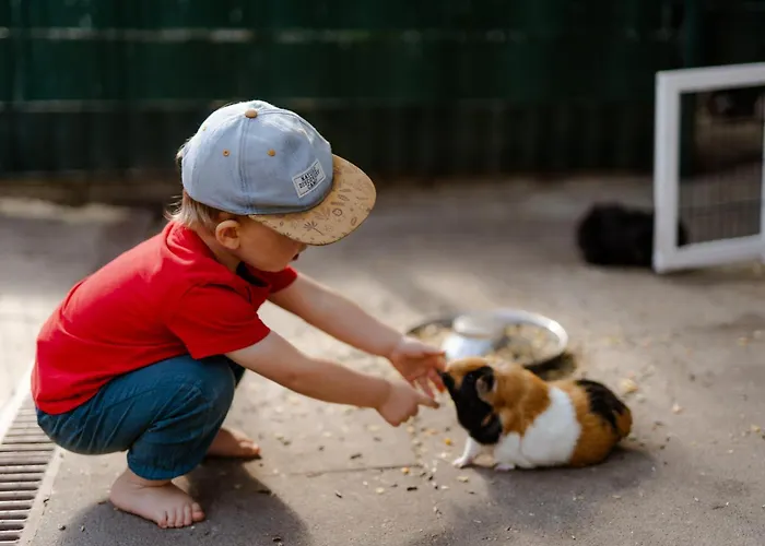 Apartamento Achter De Hoef Whg 2