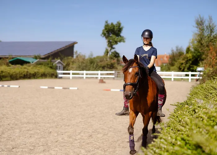 Apartamento Achter De Hoef Whg 2 *