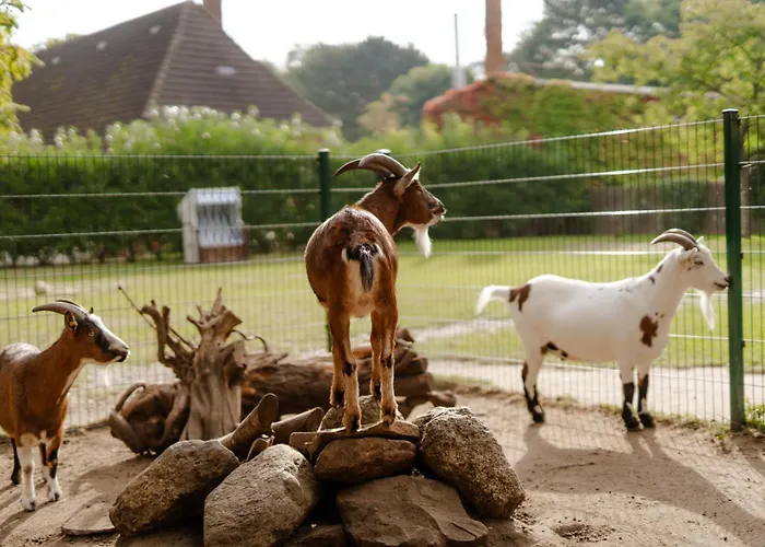 Apartamento Achter De Hoef Whg 2 Staberdorf