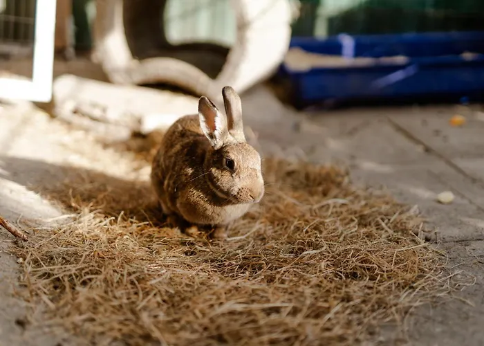 Achter De Hoef Whg 2 Staberdorf