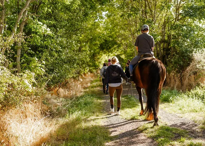 Apartamento Achter De Hoef Whg 2 *