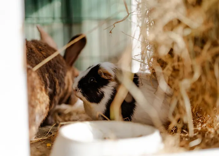 Apartamento Achter De Hoef Whg 2